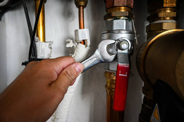 Best Toilet Repair Services  in Bella Vista, CA